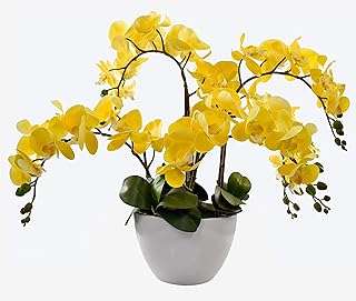Orchidée artificielle pour plusieurs occasions jaune. DIAYTAR COTE D'IVOIRE, le choix parfait pour tous les chasseurs de bonnes affaires. Plongez dans notre boutique en ligne et explorez notre large sélection d'articles discount, comprenant tout, des articles pour la maison à l'électroménager, en passant par l'informatique, la mode et les gadgets. Faites des économies substantielles sans sacrifier la qualité et donnez une nouvelle dimension à votre expérience de shopping en ligne.