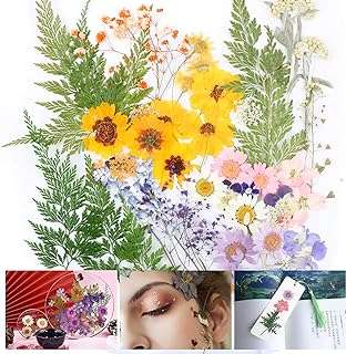 3 paquets (52 pièces) de fleurs séchées naturelles mélange séchées pétales de feuilles pour la fabrication. Cherchez-vous des produits de qualité à des prix abordables ? Ne cherchez plus ! DIAYTAR COTE D'IVOIRE  propose une sélection diversifiée de produits discount allant des articles ménagers aux produits high-tech, le tout à des prix défiant toute concurrence. N'attendez plus pour faire votre shopping malin.