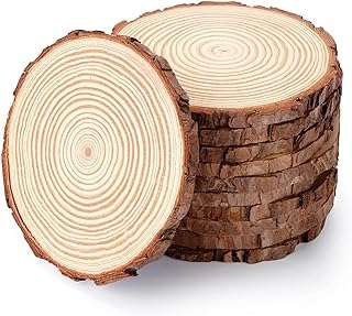 Ensemble de 10 sous verres en bois naturel pré percés de 35 à 4 pouces avec cercles. Profitez de rabais incroyables sur DIAYTAR COTE D'IVOIRE  et économisez sur tous vos achats! Que vous cherchiez des équipements high-tech, des produits de beauté, des articles pour animaux de compagnie ou même des meubles pour la maison, notre boutique en ligne généraliste vous propose les meilleurs prix du marché.
