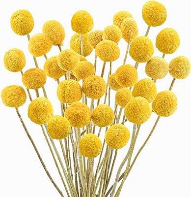 20 pièces fleurs séchées naturelles boules d'or martelées bouquet de pour arrangement. Vous cherchez des offres discount sur une large gamme de produits ? DIAYTAR COTE D'IVOIRE  est la réponse à vos besoins. Parcourez notre boutique en ligne et découvrez des articles de qualité à des prix défiant toute concurrence, que ce soit pour équiper votre maison, vous plonger dans l'univers de la mode ou trouver des gadgets tendance. Faites confiance à DIAYTAR COTE D'IVOIRE  pour des achats malins et économiques.