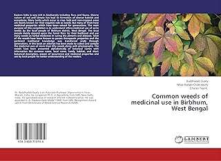 Mauvaises herbes communes à usage médicinal birbhum bengale occidental. Mettez fin à la chasse aux bons plans en ligne grâce à DIAYTAR COTE D'IVOIRE . Profitez de notre large éventail de produits discount dans les domaines de la maison, de l'électroménager et bien plus encore. Avec des remises incroyables et des offres spéciales régulières, faites de bonnes affaires sans compromis sur la satisfaction.
