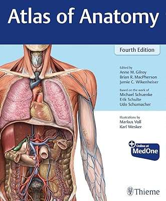 Atlas d'anatomie. DIAYTAR COTE D'IVOIRE, votre destination shopping en ligne inégalée. Avec une variété étendue de produits discount pour la maison, l'électroménager, l'informatique, la mode et les gadgets, vous pouvez vous attendre à des offres exceptionnelles et à des économies considérables, tout en bénéficiant d'une expérience de shopping pratique et personnalisée.