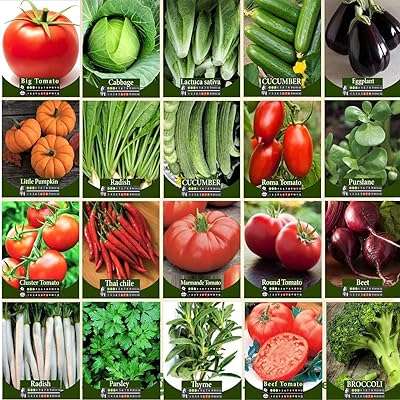 98 % de pureté minimale agrimax 95 pur mélange de légumes et d'herbes. En quête de produits discount de qualité ? DIAYTAR COTE D'IVOIRE  est là pour vous satisfaire ! Explorez notre boutique en ligne et découvrez notre vaste gamme de produits pour la maison, l'électroménager, l'informatique et la mode. Obtenez des articles de dernière tendance à des prix incroyables et faites des économies substantielles.