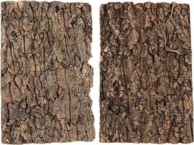 Jenny 2 pièces écorce d'arbre de reptile support d'écorce décor confiture. Achetez malin sur DIAYTAR COTE D'IVOIRE  ! Notre boutique en ligne généraliste propose une large gamme de produits discount allant des articles pour la maison, à la mode en passant par l'électroménager et l'informatique. Profitez de nos offres imbattables et faites des économies dès aujourd'hui !