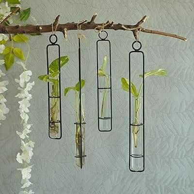 Tide ribbons tube à essai mural en verre avec support en métal (lot de 4. DIAYTAR COTE D'IVOIRE, votre carrefour en ligne pour des affaires incroyables ! Préparez-vous à être émerveillé par notre vaste gamme de produits discount, allant de l'équipement domestique à l'électroménager, en passant par l'informatique, la mode tendance et les gadgets à prix réduits.