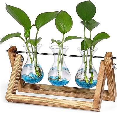 Pot de fleurs avec étagère en bois ampoule à air. DIAYTAR COTE D'IVOIRE, votre destination shopping discount en ligne. Parcourez notre catalogue étendu et faites votre choix parmi notre vaste gamme de produits pour la maison, l'électroménager, l'informatique et la mode. Profitez de nos prix imbattables et réalisez des économies substantielles dès maintenant.