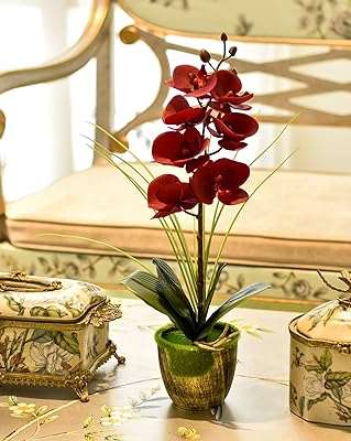 Branches de fleurs d'orchidées artificielles au toucher réel de 44 cm plantes pour centre. Bienvenue chez DIAYTAR COTE D'IVOIRE, le paradis des bonnes affaires en ligne ! Découvrez une large gamme de produits discount pour équiper votre maison, trouver l'électroménager de vos rêves, vous divertir avec des gadgets innovants, et compléter votre garde-robe avec des vêtements à la pointe de la mode, le tout à des prix défiant toute concurrence.