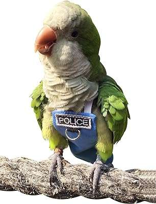 Vêtements et couches pour perroquets costumes pour oiseaux imperméables réutilisables fournitures pour oiseaux de compagnie en poly(l). Cherchez-vous à économiser tout en achetant des produits de qualité ? DIAYTAR COTE D'IVOIRE  est là pour vous. Notre boutique en ligne généraliste offre une sélection variée de produits discount, allant des équipements pour la maison à l'informatique, en passant par l'électroménager et la mode. Ne payez pas plus cher ailleurs, explorez DIAYTAR COTE D'IVOIRE  pour des bonnes affaires garanties.