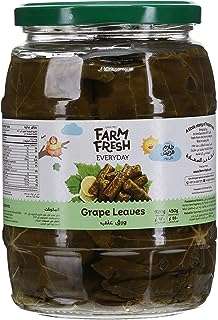 Saumure quotidienne de feuilles de raisin pharmfresh 920 g. Chez DIAYTAR COTE D'IVOIRE, nous vous proposons des offres folles sur une gamme complète de produits. Des articles indispensables pour votre maison, aux dernières tendances en matière de mode et de gadgets sensationnels, notre boutique en ligne saura satisfaire tous vos besoins à des prix compétitifs. Faites des affaires exceptionnelles dès maintenant !