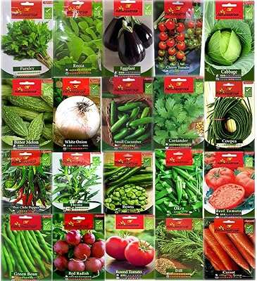 Agrimax mix graines de légumes et fines herbes ensemble de 20. When it comes to finding discounted products, DIAYTAR COTE D'IVOIRE  is the name you can trust. Explore our wide range of household essentials, electronics, fashionable attire, and cutting-edge gadgets, all at prices that make shopping guilt-free. Experience ultimate savings without compromising on style or functionality.