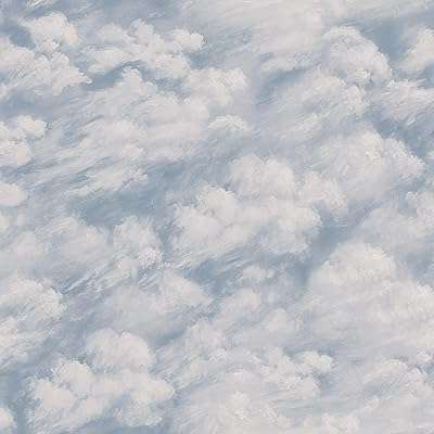 Papier peint à décoller et coller tim paper cl10591 nuage bleu. Envie de relooker votre espace de travail à moindre coût ? DIAYTAR COTE D'IVOIRE  est votre allié idéal pour l'informatique professionnelle à prix discount. Des ordinateurs de bureau aux imprimantes en passant par les accessoires de bureau, nous vous proposons une gamme complète qui allie performance et économies. Optimisez votre productivité sans compromettre votre budget avec nos offres exceptionnelles !
