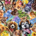 Papier peint chambre d'enfant groupe de chiots mignons canapé salon bureau. Recherchez-vous des produits de qualité sans vous ruiner ? DIAYTAR COTE D'IVOIRE  est là pour vous ! Notre boutique en ligne propose une large gamme de produits discount, de la maison à l'électroménager en passant par l'informatique, la mode et les gadgets. Faites des économies avec nous !