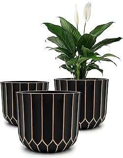 Pot de fleurs élégant noir et doré rangement de grand pouce pour une utilisation. DIAYTAR COTE D'IVOIRE  - des réductions incroyables sur tous les produits dont vous avez besoin. Parcourez notre boutique en ligne pour découvrir des offres discount sur des centaines d'articles, allant de la mode aux appareils électroménagers dernier cri.
