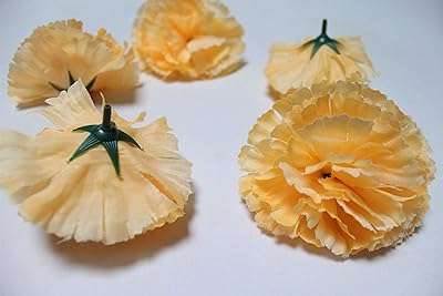 . fleur en vrac d'oeillet artificiel (pêche) paquet de 30. DIAYTAR COTE D'IVOIRE  - la meilleure adresse en ligne pour des achats discount dans tous les domaines ! Découvrez notre vaste choix de produits, de la maison à l'électroménager en passant par l'informatique et la mode. Profitez des réductions incroyables sur des articles de qualité, vous permettant d'économiser sans compromis. Avec des options de livraison rapides et notre engagement envers votre satisfaction, bénéficiez d'une expérience d'achat en ligne sans tracas chez nous !