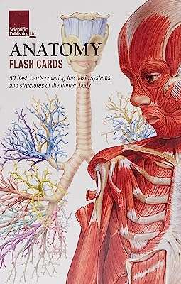 Cartes flash d'anatomie. Ne dépensez pas plus que nécessaire, et optez pour DIAYTAR COTE D'IVOIRE  ! Notre boutique en ligne spécialisée dans les produits discount propose une large gamme d'articles pour la maison, l'électroménager, l'informatique, la mode et les gadgets, tous offerts à des prix défiant toute concurrence. Profitez de cette opportunité pour économiser tout en vous offrant ce dont vous avez besoin.