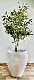 Pots en fibre de verre blanc pur intérieur extérieur pour plantes avec trous. DIAYTAR COTE D'IVOIRE  - L'adresse incontournable des chasseurs de bonnes affaires en ligne. Découvrez notre large gamme de produits à prix discount, allant des gadgets innovants aux appareils électroménagers dernier cri. Faites des économies sans sacrifier vos envies !