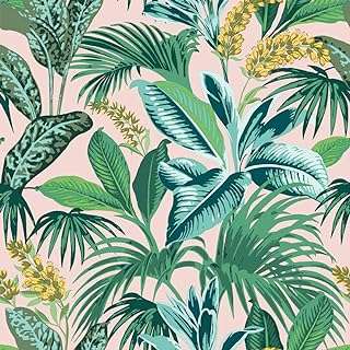 Papier peint amovible teampaper botanical pink havana palm 205" x 165 pieds fabriqué aux états unis. Découvrez DIAYTAR COTE D'IVOIRE, votre source incontournable de bons plans discount en ligne. Trouvez tout ce dont vous avez besoin, des produits de maison essentiels aux gadgets high-tech, le tout à des prix imbattables. Faites des économies tout en vous offrant de la qualité grâce à notre sélection variée et attrayante.