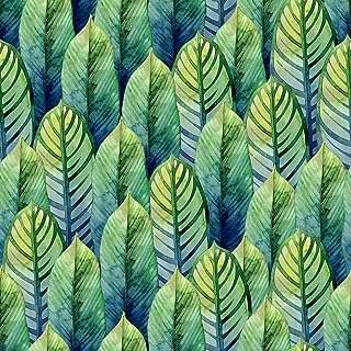 Rey walpaper jungle green papier peint à décoller et coller papier amovible pour chambre. Faites des économies sans sacrifier la qualité avec DIAYTAR COTE D'IVOIRE . Notre boutique en ligne propose une immense variété de produits discount, allant des appareils électroménagers aux vêtements tendance et aux gadgets les plus populaires. Trouvez tout ce dont vous avez besoin à des prix incroyables !