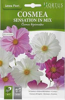 Graines cosmos mix de haute qualité (cosmia sensation n mix) (fabriquées en italie) par hortos. À la recherche d'idées cadeaux originales et abordables ? Parcourez notre sélection de gadgets à prix discount sur DIAYTAR COTE D'IVOIRE  et faites plaisir à vos proches sans vous ruiner. Des gadgets high-tech aux objets insolites, notre boutique en ligne saura vous surprendre.