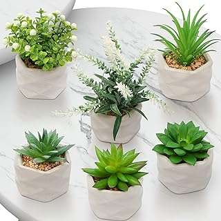 Bloom.mini plantes succulentes artificielles 6 pièces mini fausses fantaisie décoration d'intérieur avec pots. DIAYTAR COTE D'IVOIRE  - Votre destination en ligne pour des achats malins. Avec notre sélection de produits discount, allant de la maison à l'électronique, de la mode à l'informatique, vous pouvez économiser tout en comblant vos besoins. Ne manquez pas nos offres spéciales et réalisez des économies considérables dès aujourd'hui!