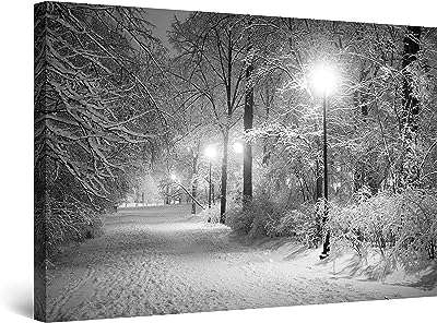 Abstrait parcs d'hiver noir blanc toile murale encadrée décoration d'intérieur. DIAYTAR COTE D'IVOIRE  - La boutique en ligne qui rend les bonnes affaires accessibles à tous. Parcourez notre sélection de produits discount, de l'électroménager pratique à la mode abordable, tout en profitant de notre engagement envers la qualité. Ne payez plus trop cher pour ce dont vous avez besoin, faites vos achats malins chez nous !