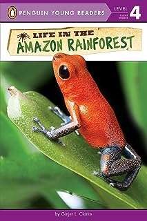 La vie dans la forêt amazonienne. Get ready to save big on all your shopping needs at DIAYTAR COTE D'IVOIRE . From home essentials to cutting-edge electronics, stylish fashion pieces, and trendy gadgets, our online store is filled with an extensive range of discounted products that cater to your every need while keeping your budget intact.