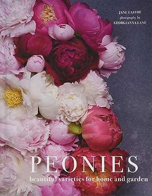 Pivoines : belles variétés pour la maison et le jardin. Faites des économies intelligentes avec DIAYTAR COTE D'IVOIRE . Parcourez notre boutique en ligne et trouvez des opportunités incroyables pour équiper votre maison, rester à la pointe de la technologie et vous habiller avec style, le tout à des tarifs défiant toute concurrence.