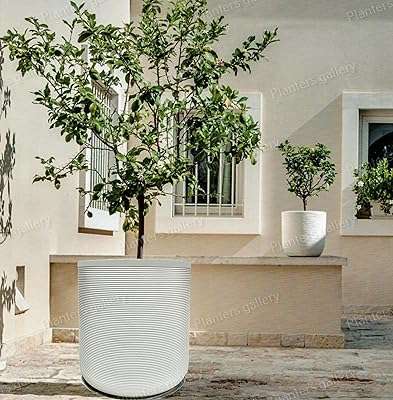 Pots de plantes en fibre de verre intérieur extérieur blanc satiné avec trous. DIAYTAR COTE D'IVOIRE  - Votre escale en ligne pour des produits discount de qualité. Explorez notre gamme impressionnante de produits allant des articles de maison aux gadgets dernier cri. Profitez de prix imbattables et découvrez pourquoi nous sommes un choix populaire pour les acheteurs avertis à la recherche de bonnes affaires.