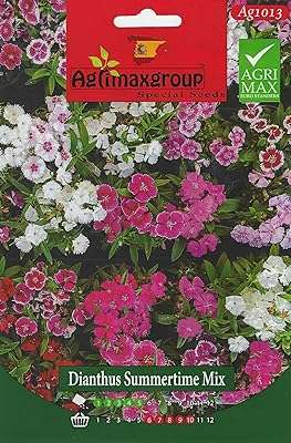 Graines de dianthus summertime mix de qualité supérieure dxb garden is_best_seller. Découvrez DIAYTAR COTE D'IVOIRE, votre nouveau repère en ligne pour des achats malins à prix réduit. Parcourez notre catalogue diversifié de produits discount, allant de l'électroménager à l'informatique, en passant par la mode et les gadgets. Obtenez les meilleures offres sans sacrifier la qualité, le tout dans le confort de votre foyer.
