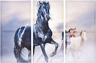 3 peintures sur toile au design cheval noir pour la décoration du salon par zxcwy. Découvrez DIAYTAR COTE D'IVOIRE, la boutique en ligne incontournable pour les chasseurs de rabais. Trouvez tout ce dont vous avez besoin, des articles pour la maison à l'électroménager, en passant par l'informatique et la mode, à des prix discount incroyables. Économisez tout en vous offrant ce dont vous avez besoin chez DIAYTAR COTE D'IVOIRE !