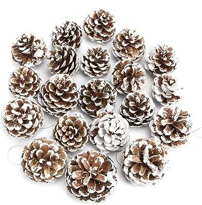 Jecosen 20 pièces grandes pommes de pin avec ficelle argentée pour la décoration. Faites des économies sans sacrifier la qualité sur DIAYTAR COTE D'IVOIRE, votre boutique en ligne discount ultime. Découvrez notre sélection soigneusement choisie de produits dans divers domaines, allant de l'informatique à la mode, et bénéficiez de prix imbattables. Faites-vous plaisir tout en respectant votre budget chez nous.