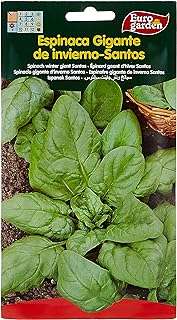 Graines d'épinards euro garden 15g. DIAYTAR COTE D'IVOIRE  est la boutique en ligne idéale pour les chasseurs de bonnes affaires. Explorez notre vaste choix de produits à prix discount, parmi lesquels l'électroménager, l'informatique, la mode et les gadgets, et économisez tout en vous faisant plaisir !