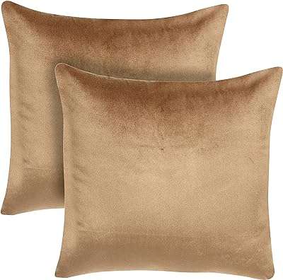 Lot de 2 housses de coussin décoratives carrées en velours uni. Besoin de produits à petit prix ? DIAYTAR COTE D'IVOIRE  vous propose une large sélection d'articles discount, allant de la maison à l'électroménager en passant par l'informatique, la mode et les gadgets. Faites des économies en faisant vos achats chez nous !