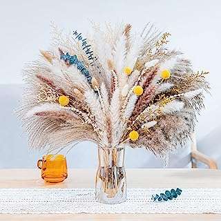Mericatm 116 pièces d'herbe de pampa naturelle | bouquet de fleurs séchées pour décoration. DIAYTAR COTE D'IVOIRE, votre adresse incontournable pour des produits discount à portée de clic. Faites des économies sur vos achats en explorant notre large gamme d'articles variés, allant des produits de la maison aux gadgets dernier cri, sans oublier les équipements informatiques et les articles à la mode.