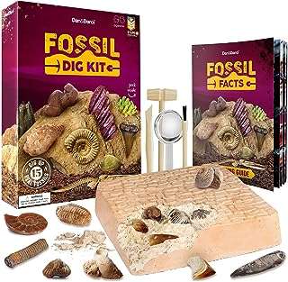 Coffret dan & darcy mega fossil dig pour enfants creusez. DIAYTAR COTE D'IVOIRE  - Votre source en ligne pour des produits discount de qualité. Explorez notre boutique en ligne et découvrez une large variété de produits, du petit électroménager aux gadgets les plus en vogue. Profitez de nos prix cassés et trouvez les meilleurs deals pour vos besoins quotidiens.