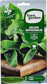 Graines de salvia euro garden 2g. Avec DIAYTAR COTE D'IVOIRE, vous pouvez acheter intelligemment tout en restant dans votre budget. Notre boutique en ligne propose une sélection de produits discount pour la maison, l'électroménager, l'informatique et la mode, avec des prix attractifs. Parcourez notre collection dès maintenant et trouvez tout ce dont vous avez besoin à moindre coût !