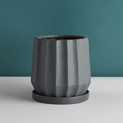 Ensemble de pots de fleurs en céramique au design simple pour la culture hydroponique et. DIAYTAR COTE D'IVOIRE est une boutique en ligne généraliste qui propose plus de 300000 références de produits, faisant d'elle la boutique leader en Côte d'Ivoire. Elle offre une large gamme de produits allant de l'électronique aux produits alimentaires. Cette diversité de produits permet aux clients de trouver tout ce dont ils ont besoin en un seul endroit.