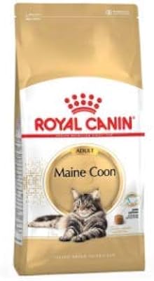 Nutrition race de chat maine coon 2kg