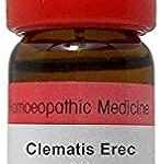 Dr. reckeweg clematis erec dilution 3x (11 ml) huile de parfum de rose