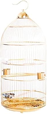 Grande cage à oiseaux oiseaux pour perroquets européenne de luxe en acier