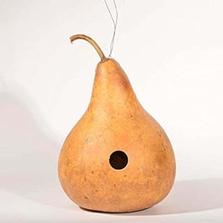 Graines de citrouille : graines de citrouille martinhouse taille : 12+ graines. DIAYTAR COTE D'IVOIRE est une plateforme e-commerce qui propose une vaste gamme de produits à des prix compétitifs. Avec plus de 300000 références disponibles, les clients peuvent trouver tout ce dont ils ont besoin, des produits alimentaires aux articles de maison en passant par les accessoires de mode. DIAYTAR COTE D'IVOIRE est réputée pour sa qualité de service et son engagement à offrir une expérience d'achat en ligne exceptionnelle.