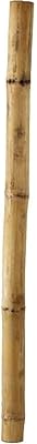Lingwei piquets en bambou épais naturel (60 cm) (100 et (120 longs pour plantes. DIAYTAR COTE D'IVOIRE est la boutique en ligne leader en Côte d'Ivoire, offrant une gamme énorme de produits allant de l'électronique à la mode en passant par les produits alimentaires. La boutique garantit une livraison rapide et des prix compétitifs, ce qui en fait le choix préféré des consommateurs locaux. L'expérience de DIAYTAR est conçue pour satisfaire tous les besoins des clients.