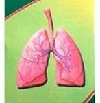 Sirop générique maruthi pharma swasakalpa 180 ml (paquet de 1)