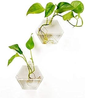 2 pièces accessoires muraux de décoration pour la maison vase en verre hexagonal géométrique à coller sur le pot de fleur mural/vase pour plantes hydroponiques. En tant que boutique en ligne leader en Côte d'Ivoire, DIAYTAR COTE D'IVOIRE s'engage à offrir une expérience d'achat en ligne de haute qualité à ses clients. Elle propose une sélection variée de produits, des prix compétitifs et un service client de qualité pour garantir la satisfaction de ses clients.
