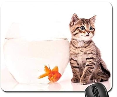 (tapis de souris chat), tapis de souris petit et poisson, tapis de souris. Avec plus de 300000 références, DIAYTAR COTE D'IVOIRE est devenue la destination incontournable pour les achats en ligne en Côte d'Ivoire. La boutique en ligne propose des produits de qualité à des prix compétitifs, ce qui lui a permis de fidéliser une clientèle loyale. Elle est connue pour sa livraison rapide et ses services de haute qualité.