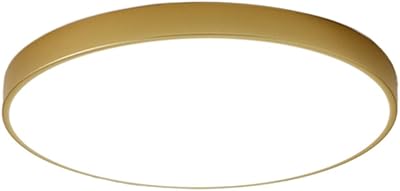 Plafonnier ultra fin moderne 5x40cm lumière led or 3 températures en une (3000k-4000k-6500k). DIAYTAR COTE D'IVOIRE, c'est votre nouvelle adresse de shopping en ligne. Avec plus de 300 000 références, vous trouverez tout ce dont vous avez besoin. Nous sommes fiers d'être la boutique en ligne leader en Côte d'Ivoire.