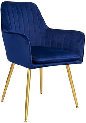 Fauteuils modernes en érable pour salon, salle à manger, chaise rembourrée en velours