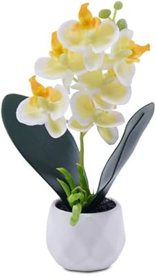 Pot en céramique pour plantes d'orchidées de pan emirates, 20 cm de haut - jaune. La boutique en ligne DIAYTAR COTE D'IVOIRE est une plateforme de commerce électronique qui permet aux clients de découvrir et d'acheter une grande variété de produits en ligne. Avec plus de 300000 références, elle offre une large sélection de produits pour répondre à tous les besoins de ses clients. Elle propose des services de paiement sécurisés et des livraisons fiables pour une expérience d'achat en ligne sécurisée.