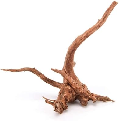 Décoration d'aquarium en bois flotté b&k, diverses branches naturelles, élevage de dragon barbu extra large (2). DIAYTAR COTE D'IVOIRE, la boutique en ligne leader en Côte d'Ivoire, propose une sélection incroyable de produits avec plus de 300000 références. Les clients peuvent trouver tout ce qu'ils cherchent sur cette plateforme, de l'électronique à la mode en passant par les produits pour la maison. DIAYTAR COTE D'IVOIRE met tout en œuvre pour offrir une expérience d'achat inoubliable.