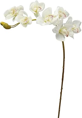 Yatai lot de 6 orchidées artificielles cymbidium et branches de phalaenopsis real touch, plantes artificielles en gros pour la maison, fête de mariage, anniversaire, décoration de vacances (blanc). DIAYTAR COTE D'IVOIRE se distingue par sa grande sélection de produits qui couvrent tous les domaines, de l'électronique à la mode en passant par les produits alimentaires. La boutique en ligne propose des prix compétitifs et des offres régulières, ce qui la rend très attractive pour les clients. Avec sa plateforme sécurisée et facile à utiliser, les clients peuvent acheter en toute confiance.